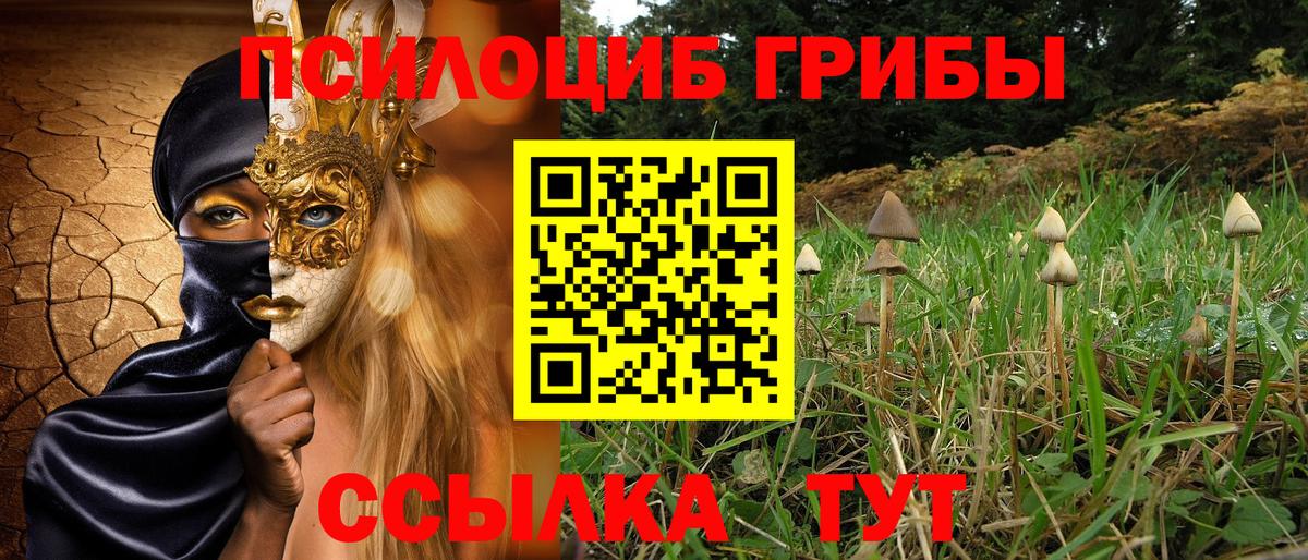Усть-Кут  наркотики  Вход с VPN  Галлюциногенные грибы мицелий  Псилоцибиновые грибы GOLDEN TEACHER 