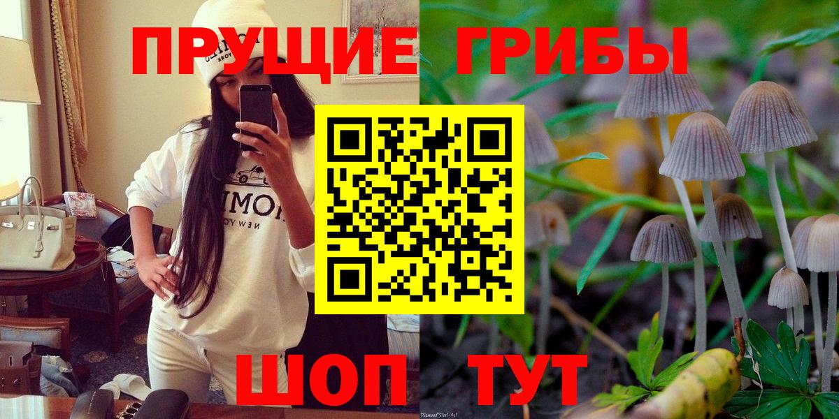 Псилоцибиновые грибы мухоморы Усть-Кут
